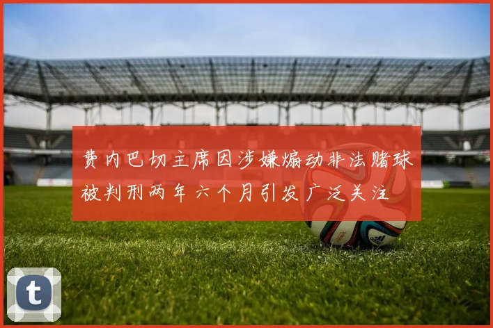 费内巴切主席因涉嫌煽动非法赌球被判刑两年六个月引发广泛关注